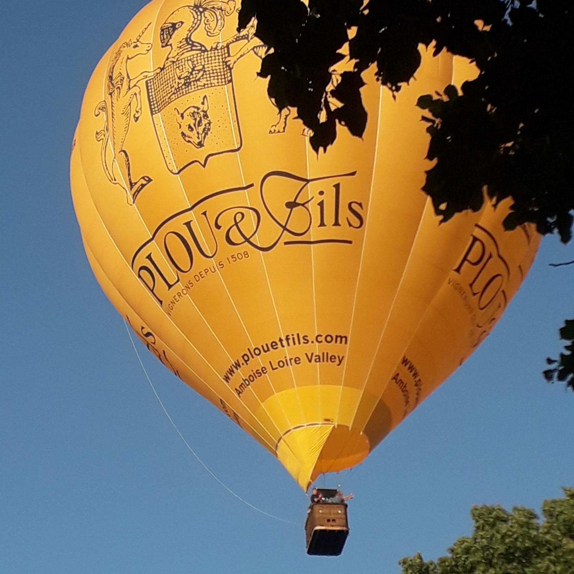 Villa Le Clos De Mosny 阿姆博斯 外观 照片